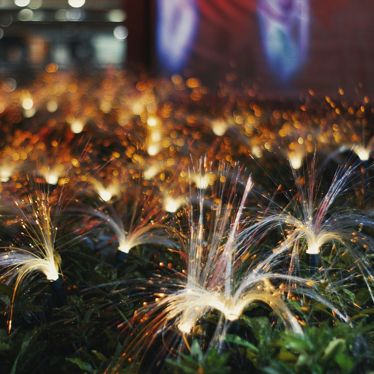Glowing fibre optic cables