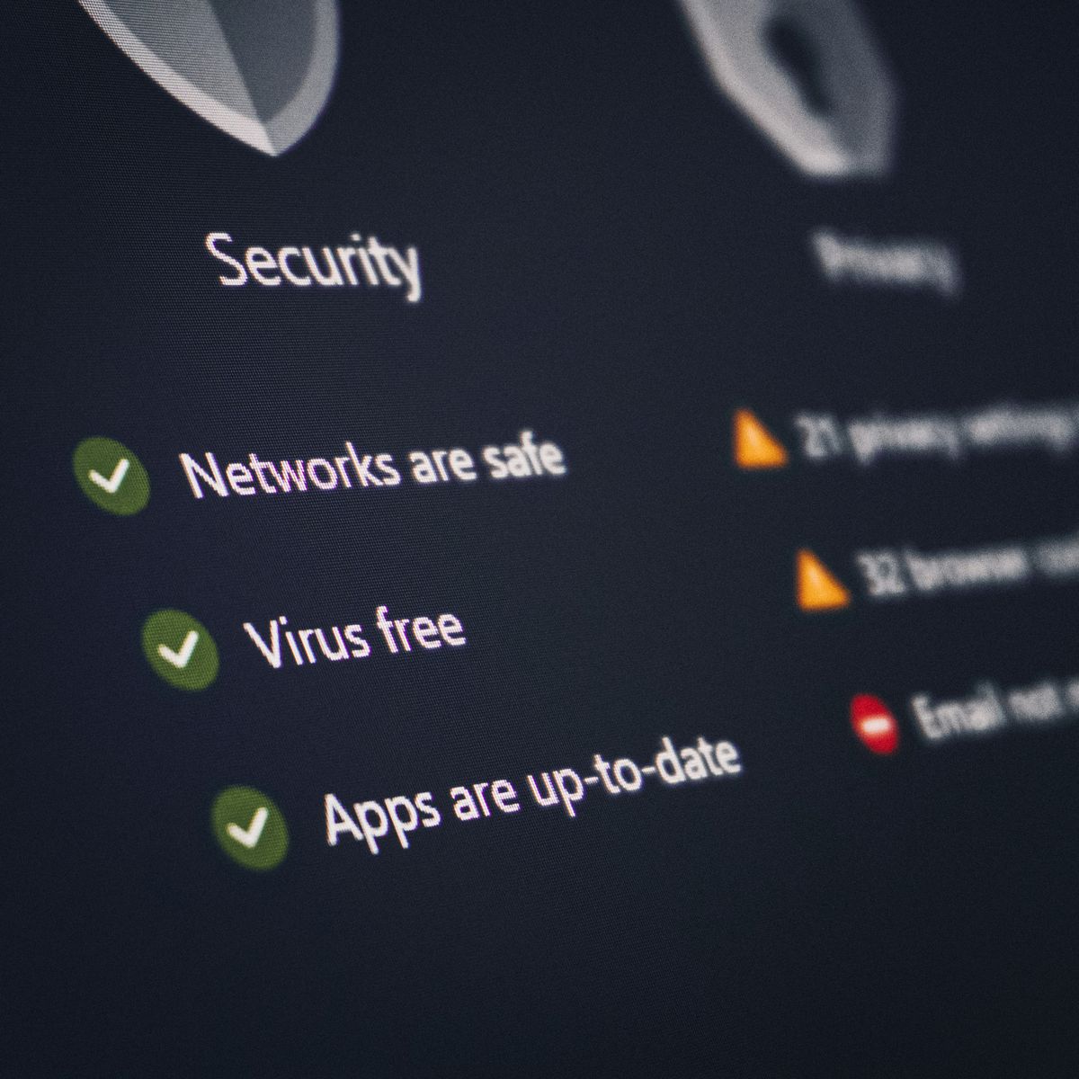 Security dashboard showing protected networks